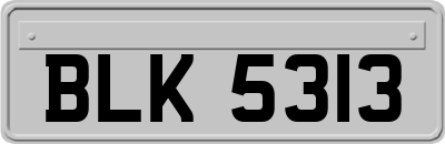 BLK5313