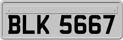 BLK5667