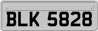 BLK5828