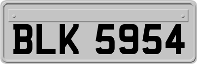 BLK5954