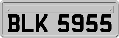 BLK5955