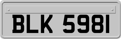 BLK5981