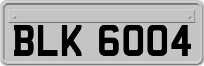 BLK6004