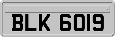 BLK6019