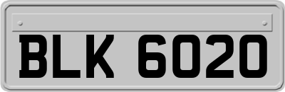 BLK6020