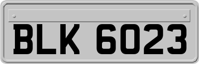BLK6023