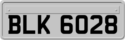 BLK6028