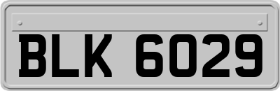 BLK6029