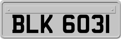 BLK6031