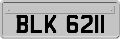 BLK6211