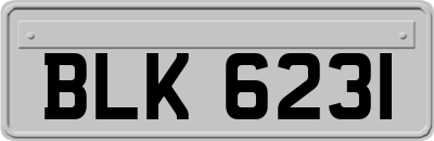 BLK6231