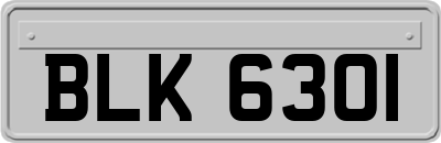 BLK6301