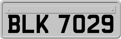 BLK7029
