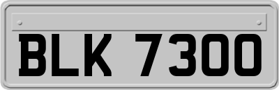 BLK7300