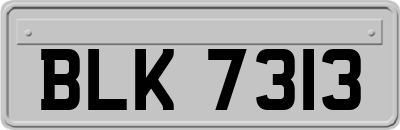 BLK7313