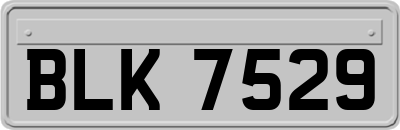 BLK7529