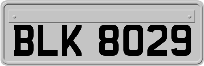 BLK8029