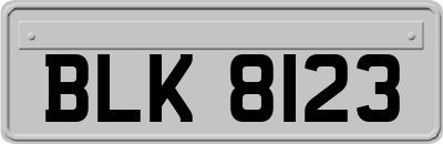 BLK8123