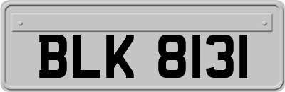 BLK8131