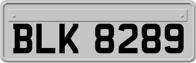 BLK8289