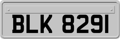 BLK8291