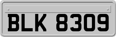 BLK8309