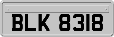 BLK8318