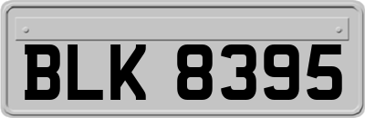 BLK8395