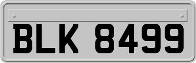 BLK8499