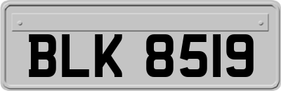 BLK8519