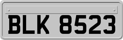 BLK8523