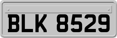 BLK8529