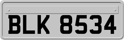 BLK8534