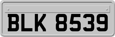 BLK8539