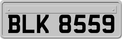 BLK8559