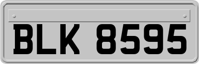 BLK8595
