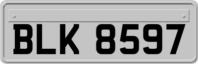 BLK8597