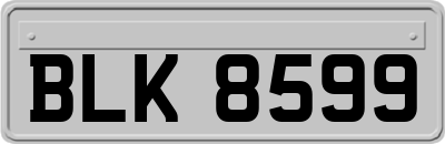 BLK8599