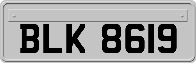 BLK8619