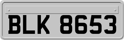 BLK8653