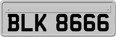 BLK8666