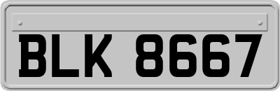 BLK8667