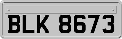 BLK8673