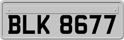 BLK8677