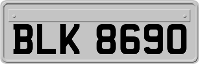 BLK8690