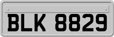 BLK8829