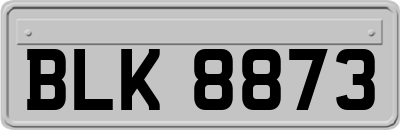 BLK8873