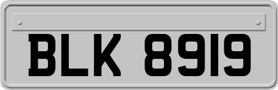 BLK8919