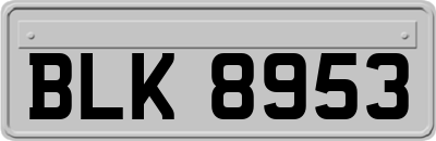 BLK8953