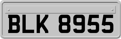 BLK8955
